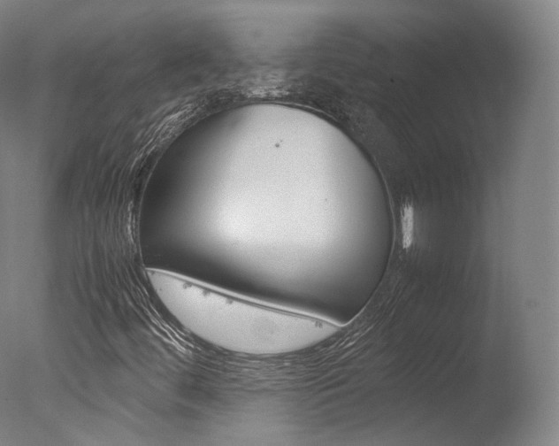 X0000077381444200610201028
