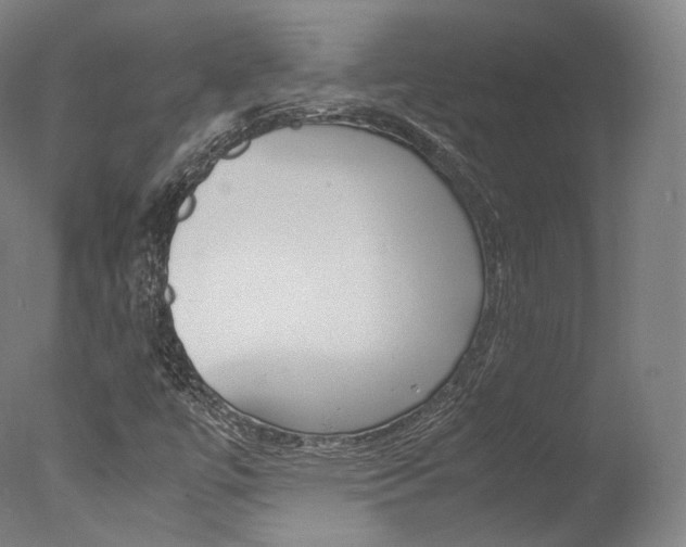 X0000077381447200610201028