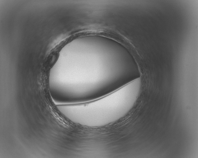 X0000077381448200610201028
