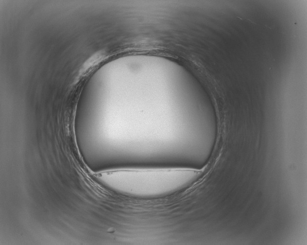 X0000077381451200610201028