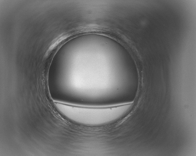 X0000077381453200610201028