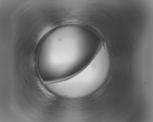 X0000077381458200610201028