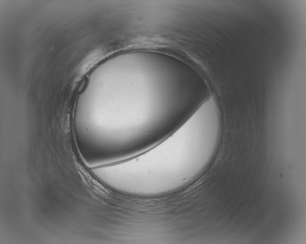 X0000077381459200610201028