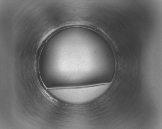 X0000077381460200610201027