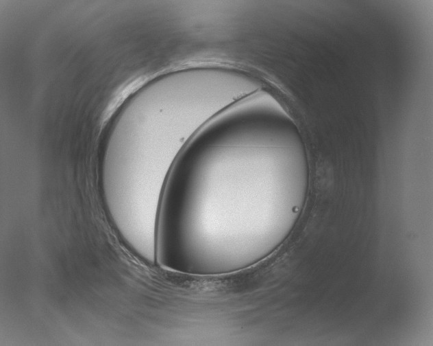 X0000077381461200610201027