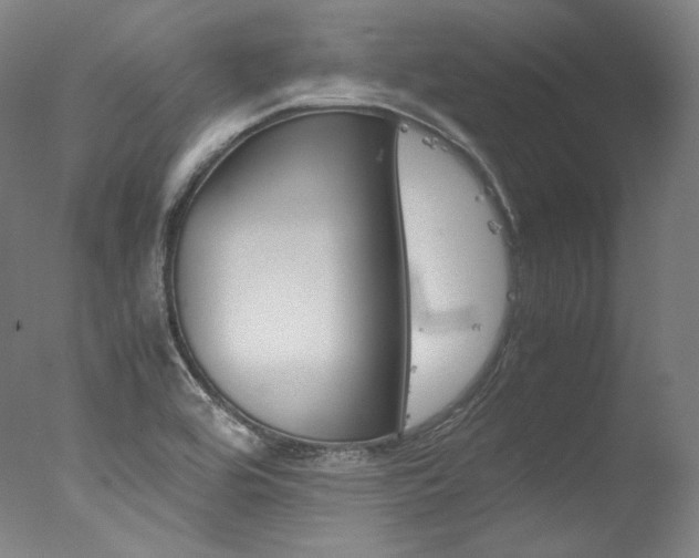 X0000077381464200610201027