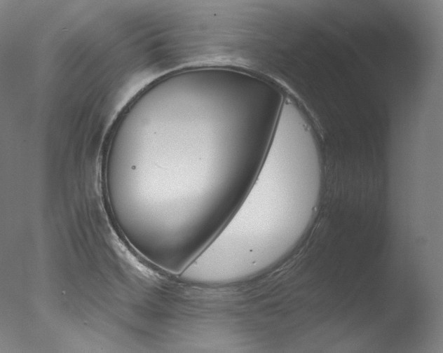 X0000077381468200610201027