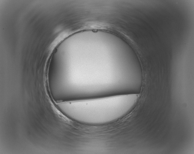 X0000077381471200610201027