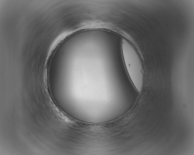 X0000077381472200610201027