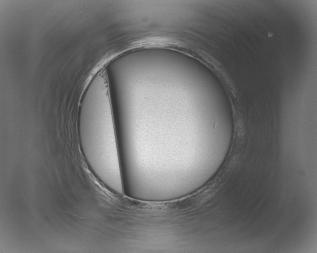 X0000077381473200610201027