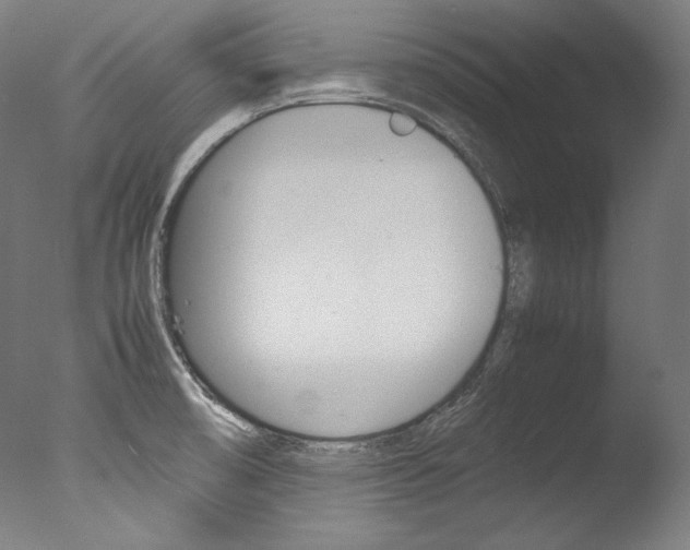X0000077381474200610201027