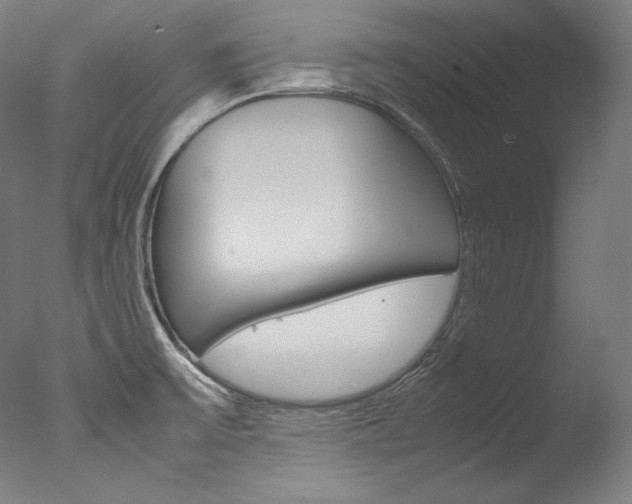 X0000077381475200610201027