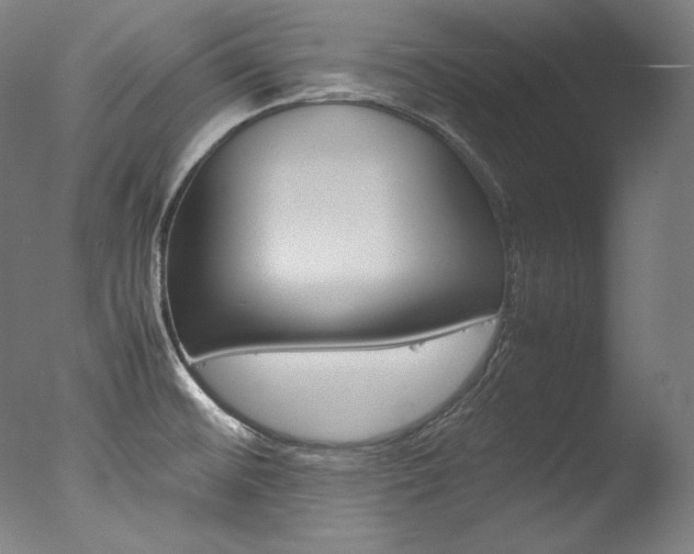 X0000077381476200610201027