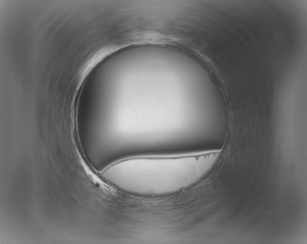X0000077381479200610201027