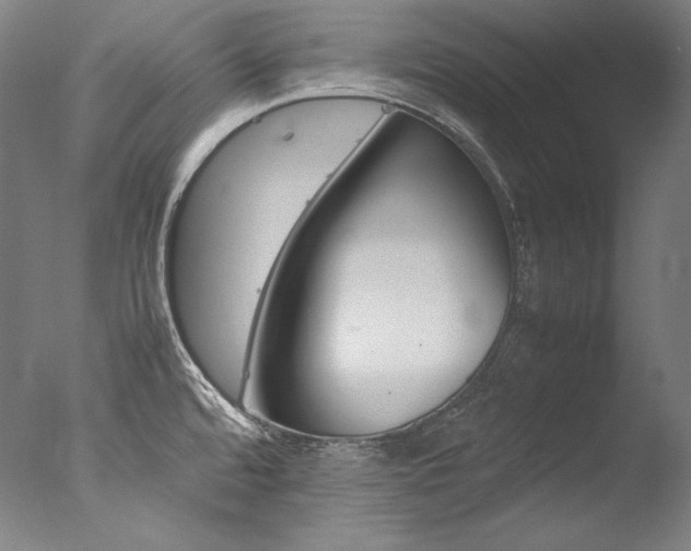 X0000077381480200610201027
