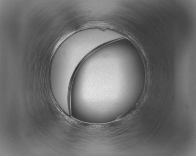 X0000077381481200610201027