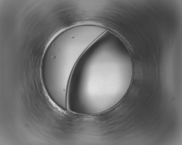 X0000077381484200610201027