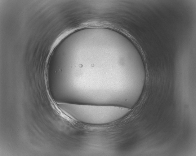 X0000077381486200610201027