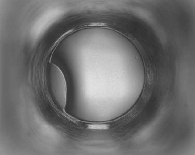 X0000077381487200610201027