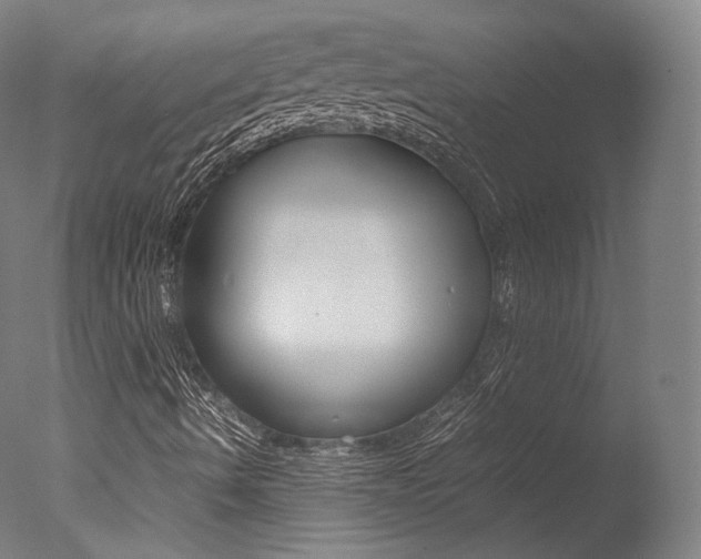 X0000077381490200610201026