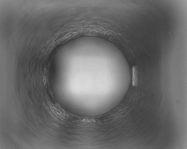 X0000077381491200610201026
