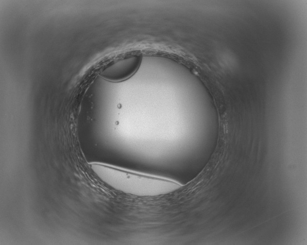 X0000077381495200610201026