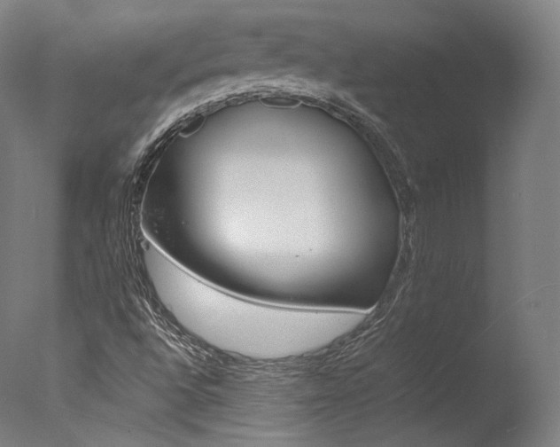 X0000077381496200610201026