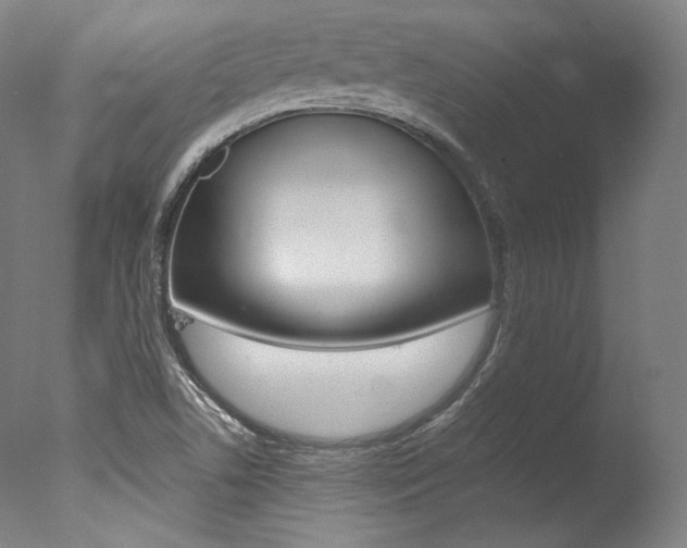 X0000077381506200610201027