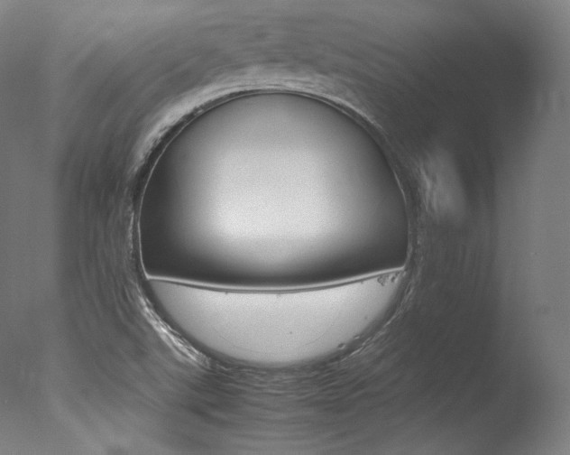 X0000077381507200610201027