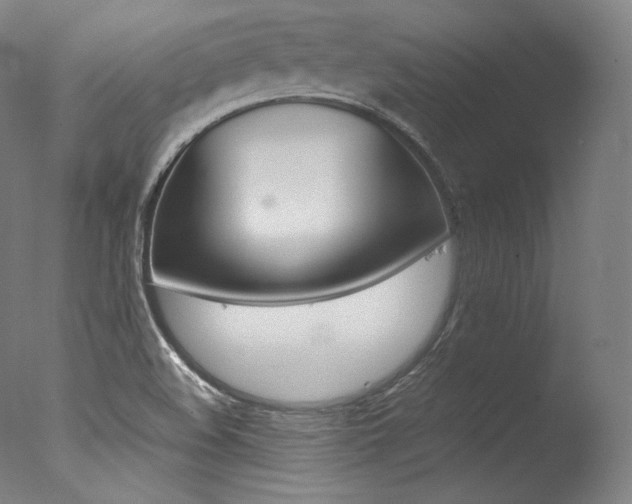 X0000077381508200610201027