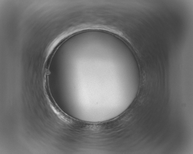 X0000077381511200610201027