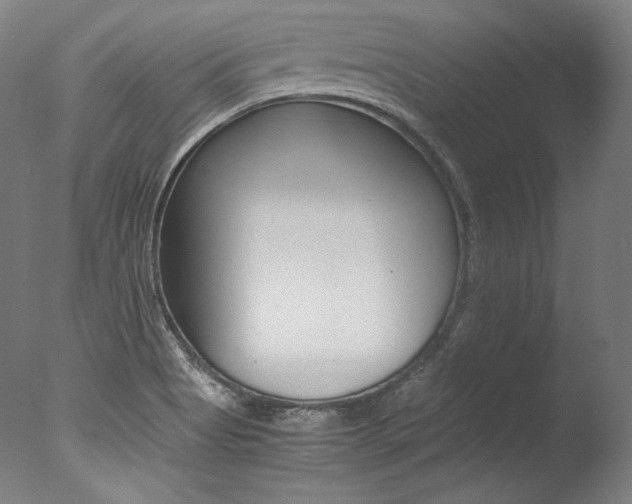 X0000077381513200610201027