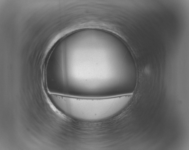 X0000077381515200610201027