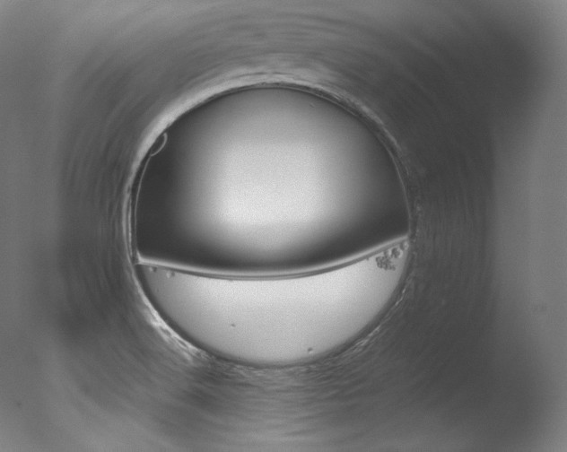 X0000077381516200610201027