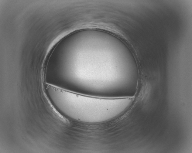X0000077381517200610201027