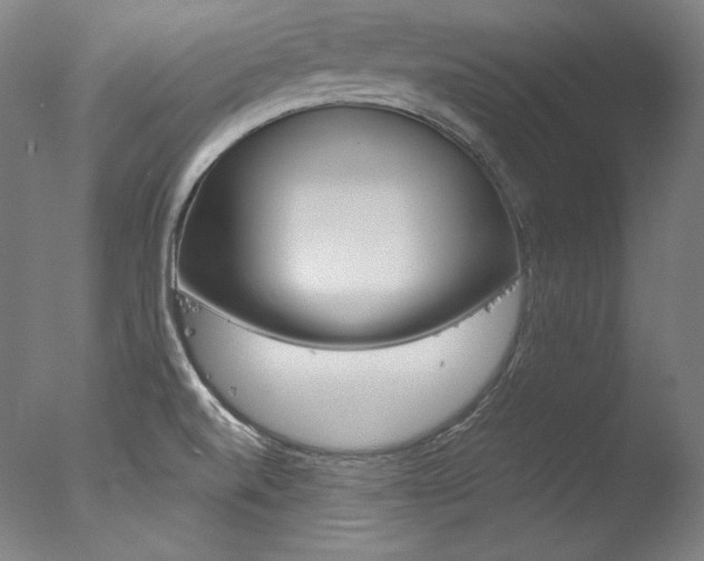 X0000077381520200610201027