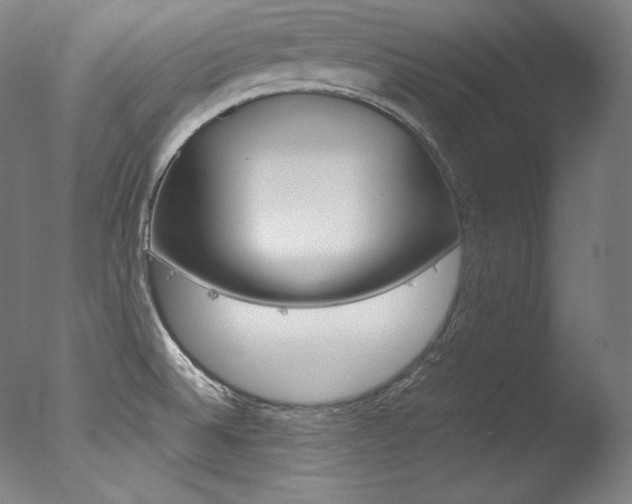 X0000077381524200610201027