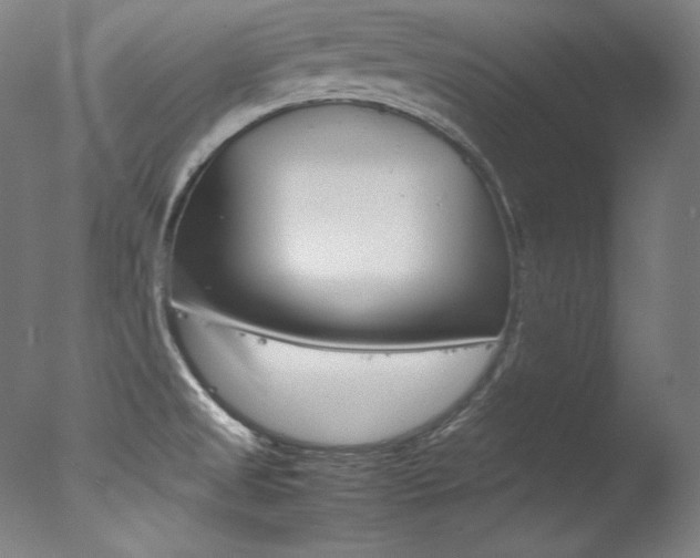 X0000077381525200610201027