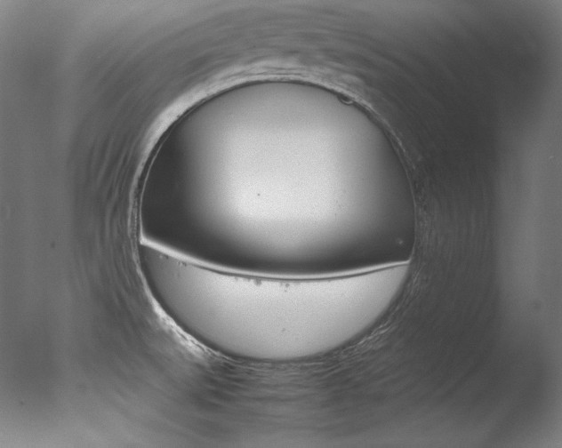 X0000077381527200610201027