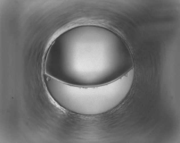 X0000077381528200610201027