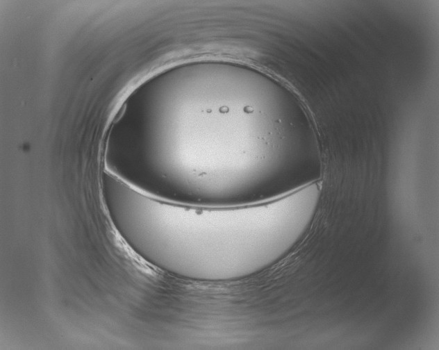 X0000077381532200610201027