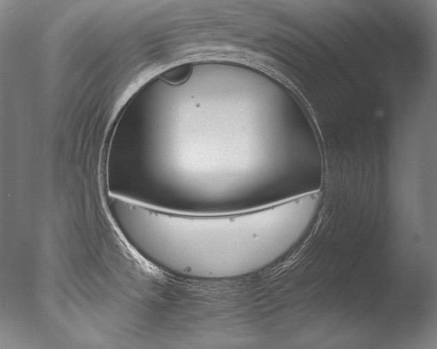 X0000077381533200610201027