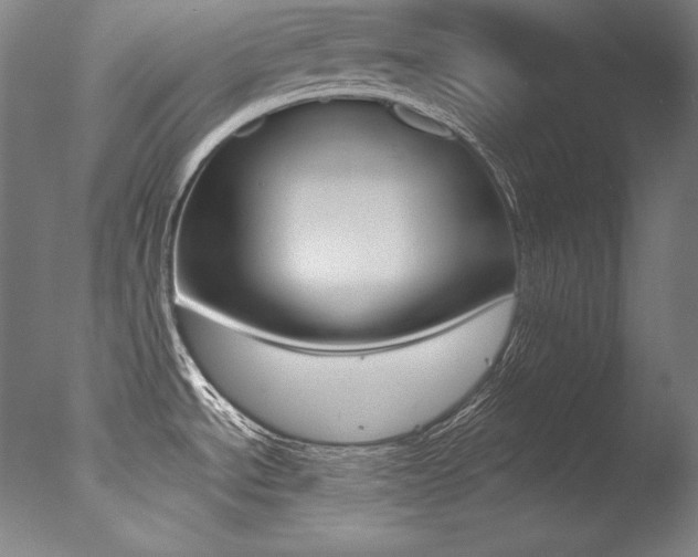X0000077381534200610201027