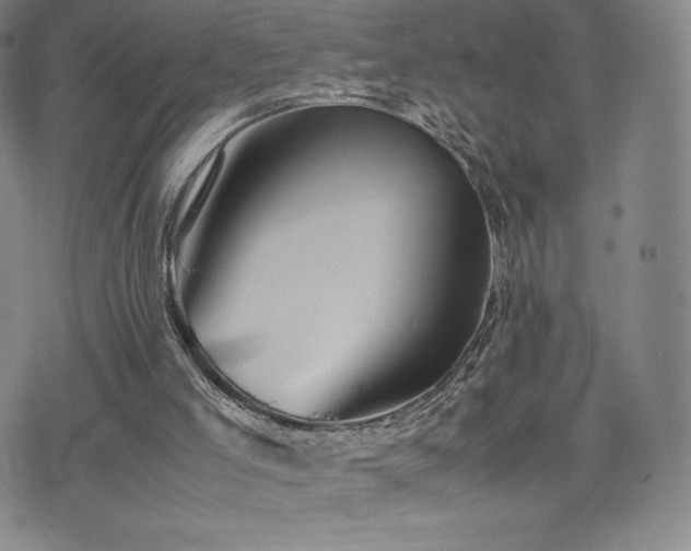 X0000077380005200610201404
