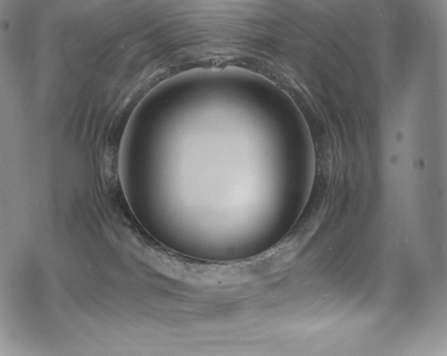 X0000077380044200610201403