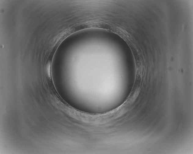 X0000077380047200610201403