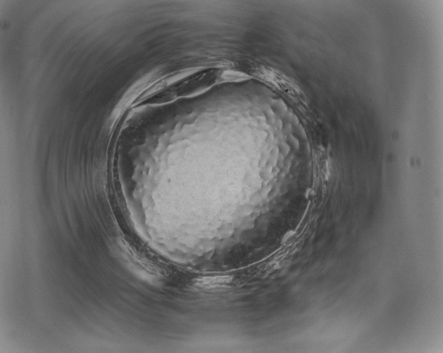 X0000077380051200610201403