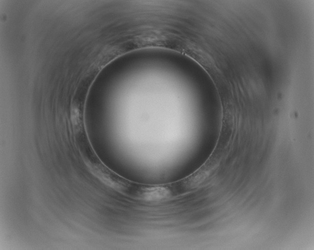 X0000077380087200610201403