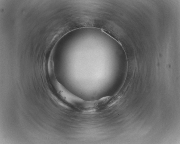 X0000077380088200610201403