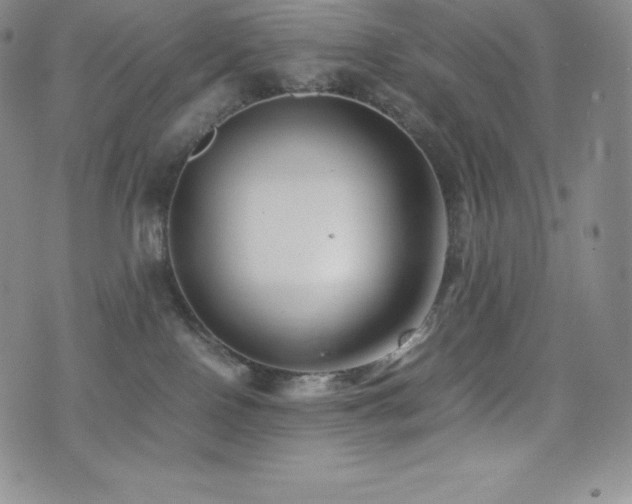 X0000077380090200610201403